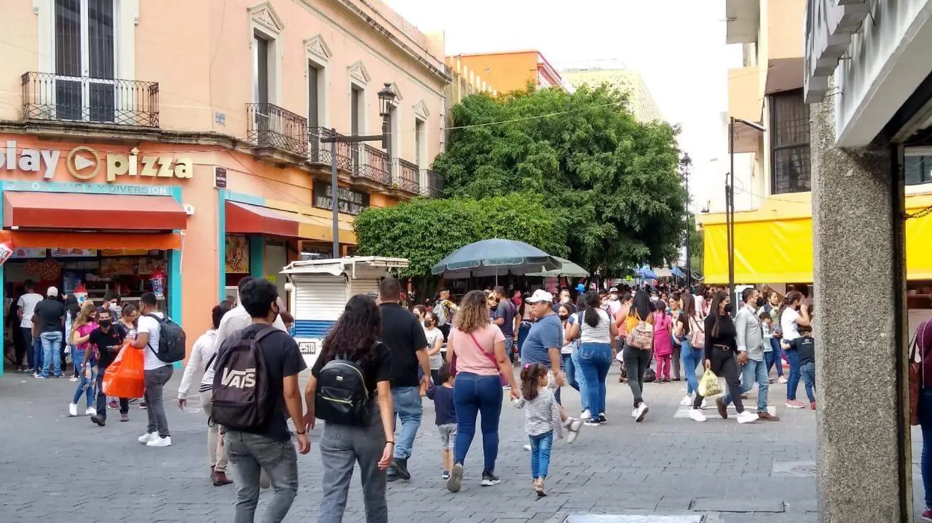 Paseantes Zona Centro